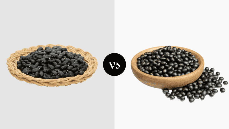 Black Beans vs Black Turtle Beans