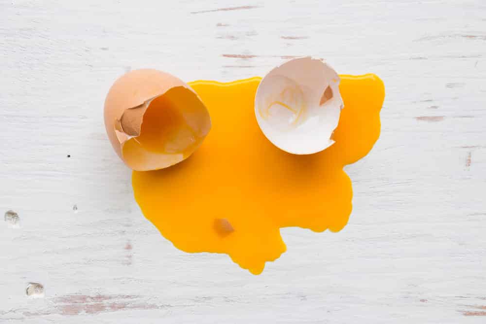 Broken Egg Yolk