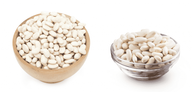 cannellini beans vs great northern beans