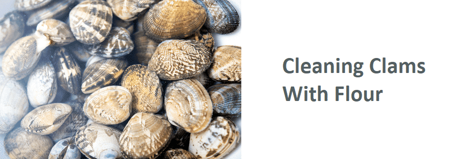 cleaning clams with flour