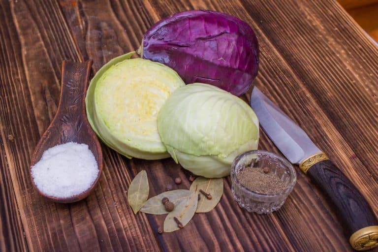 11 Best Substitutes For Salt Pork You Should Try Miss Vickie