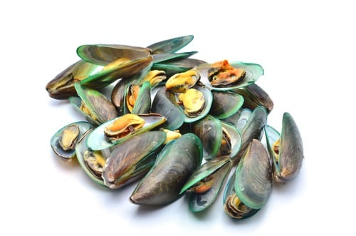 Green mussels