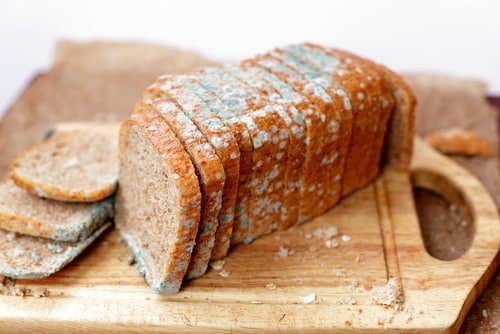 Mold on bread has a greenish-blue hue