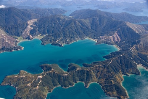 Mussel Farm in Marlborough Sounds, New Zealand