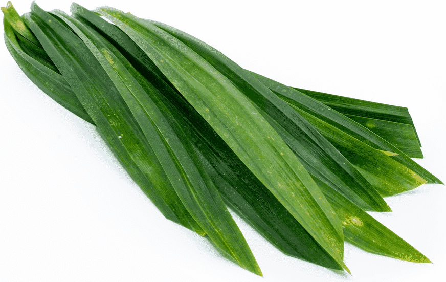 pandanus leaf substitute