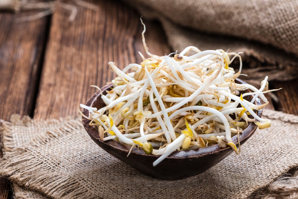substitute for mung bean sprouts