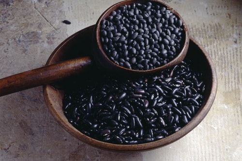 Black turtle beans and black beans are not the same