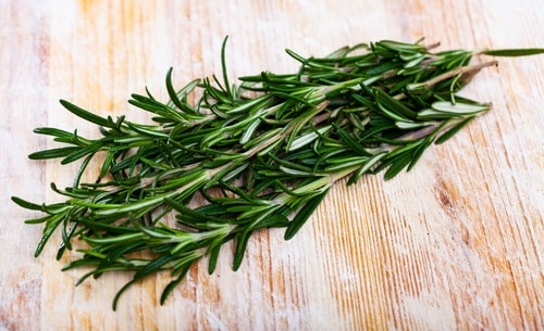 Rosemary Stalks