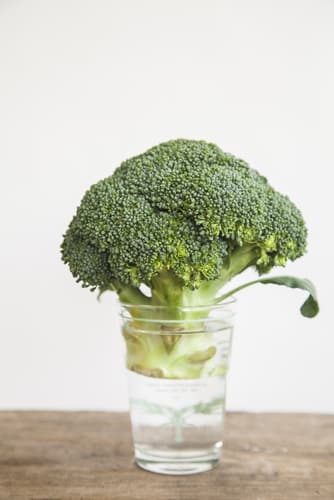 Broccoli in a glass of water