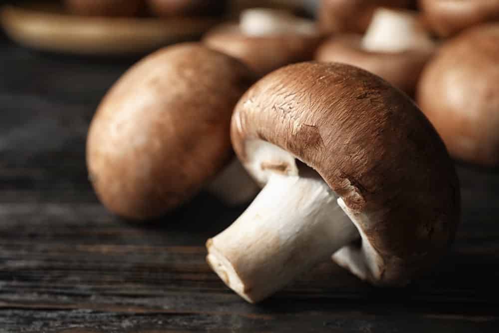 dried mushrooms vs fresh