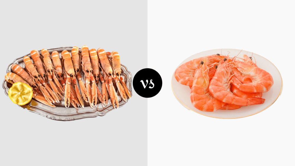 Langoustine vs Shrimp