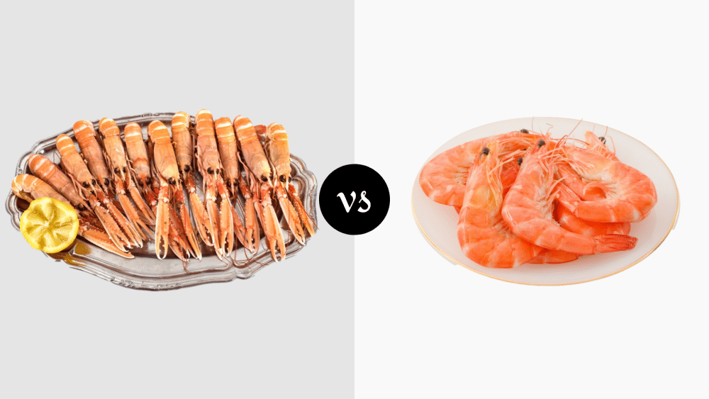 Prawn Vs Shrimp Vs Langoustine at Donnie Kirschbaum blog