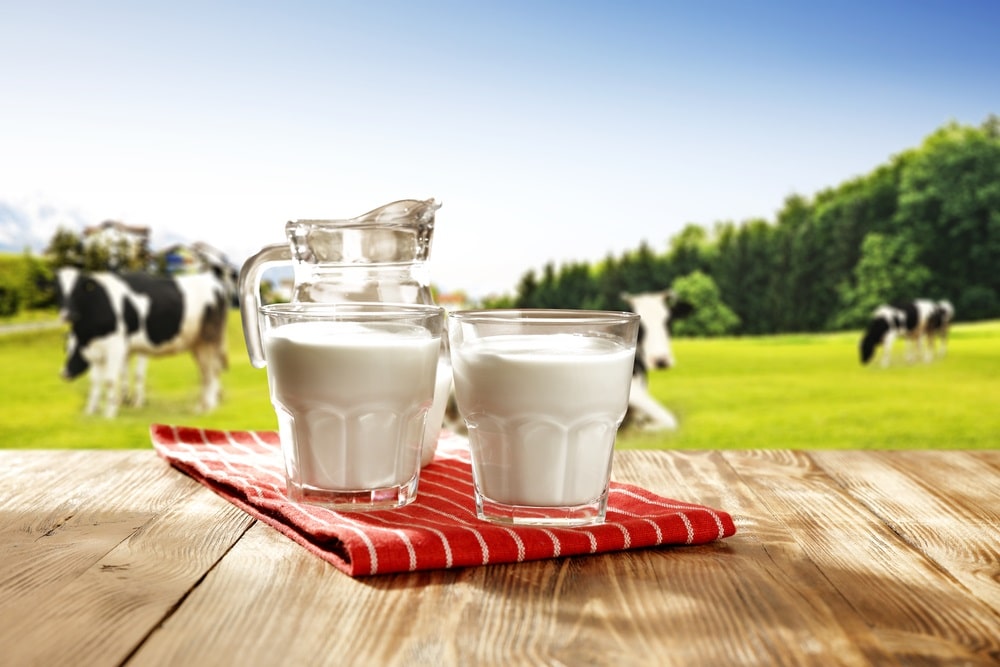 milk and landscape with green grass