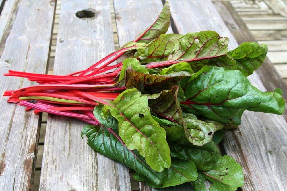 substitutions for swiss chard