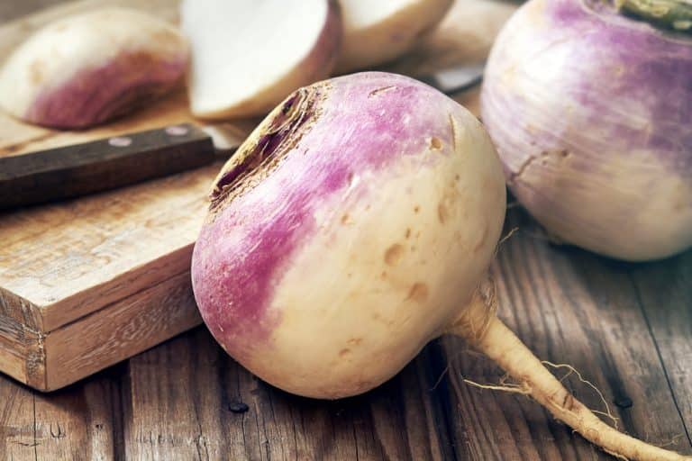 10 Best Turnip Substitutes You Can Try Miss Vickie