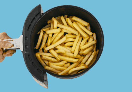 https://missvickie.com/wp-content/uploads/2021/02/ninja-air-fryer-hand-basket-french-fries.jpg.png