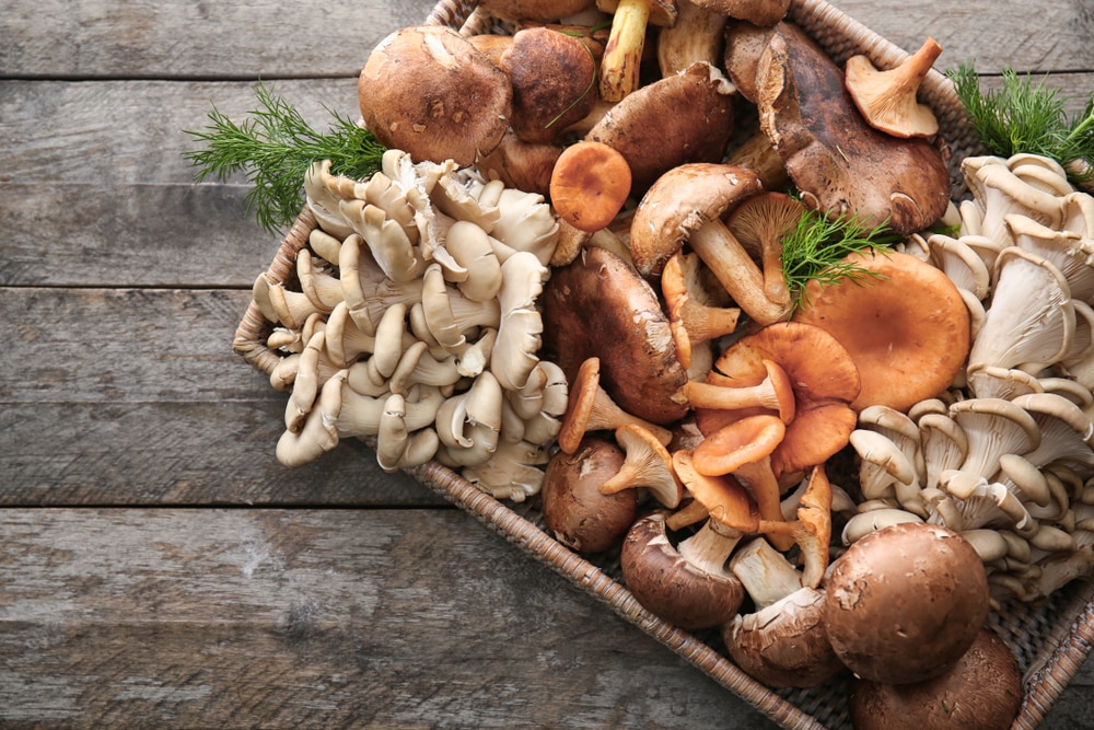 Cremini Mushrooms And Normal Mushrooms