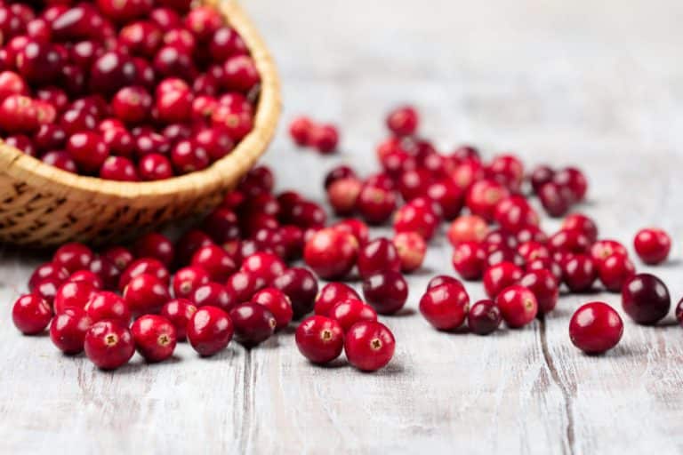 6 Best Cranberry Substitutes To Try Miss Vickie