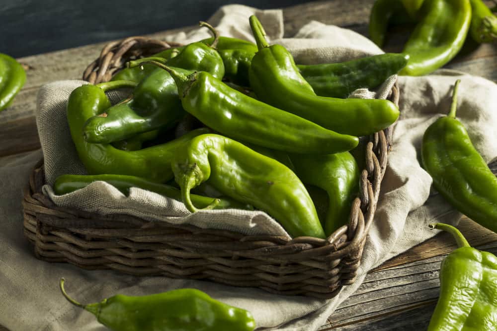 5 Best Substitutes For Hatch Chile Miss Vickie