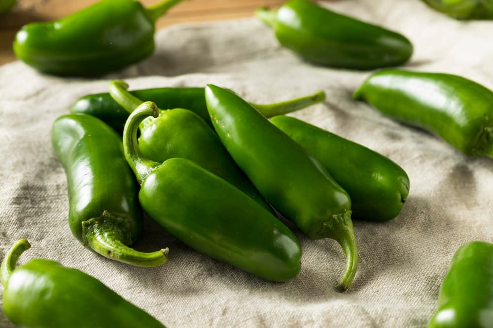 Raw green Organic Jalapeno Peppers Ready to Cook