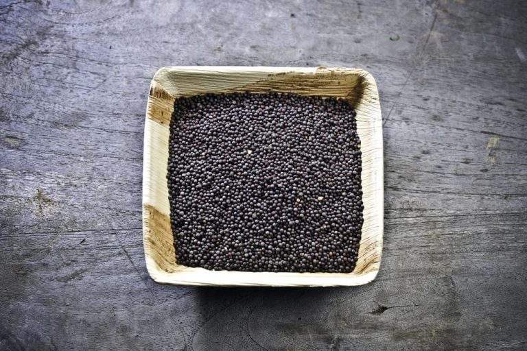 7-best-substitutes-for-black-mustard-seed-miss-vickie