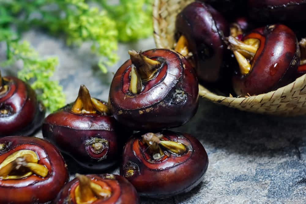 6 Best Substitutes For Water Chestnut Miss Vickie