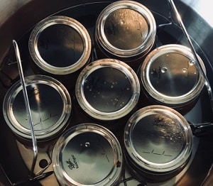 Water bath canning with the Instant Pot