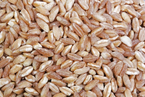 Wheat Berries