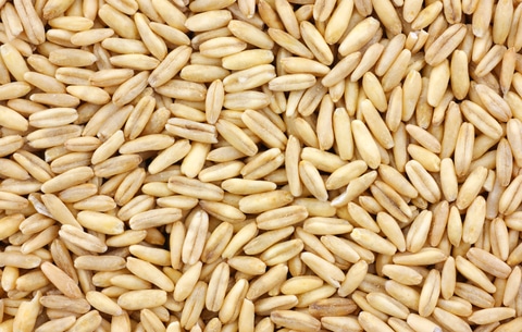 Whole oat groats