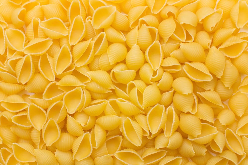 Conchiglie Pasta