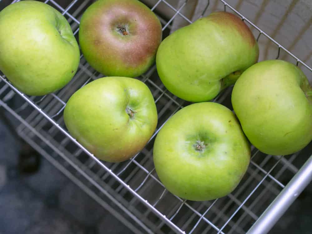 bramley apples substitutes