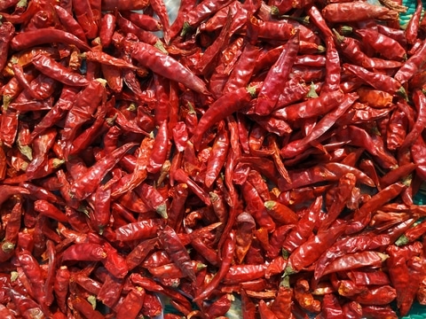 Byadagi Chilies