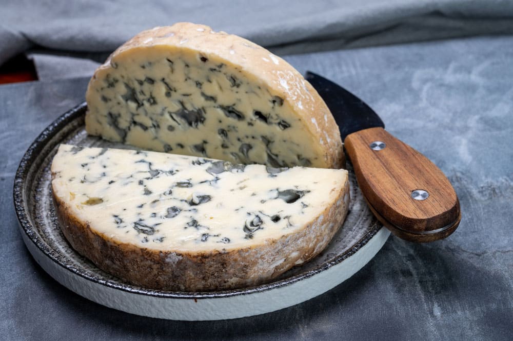 piece of French blue cheese fourme d'ambert