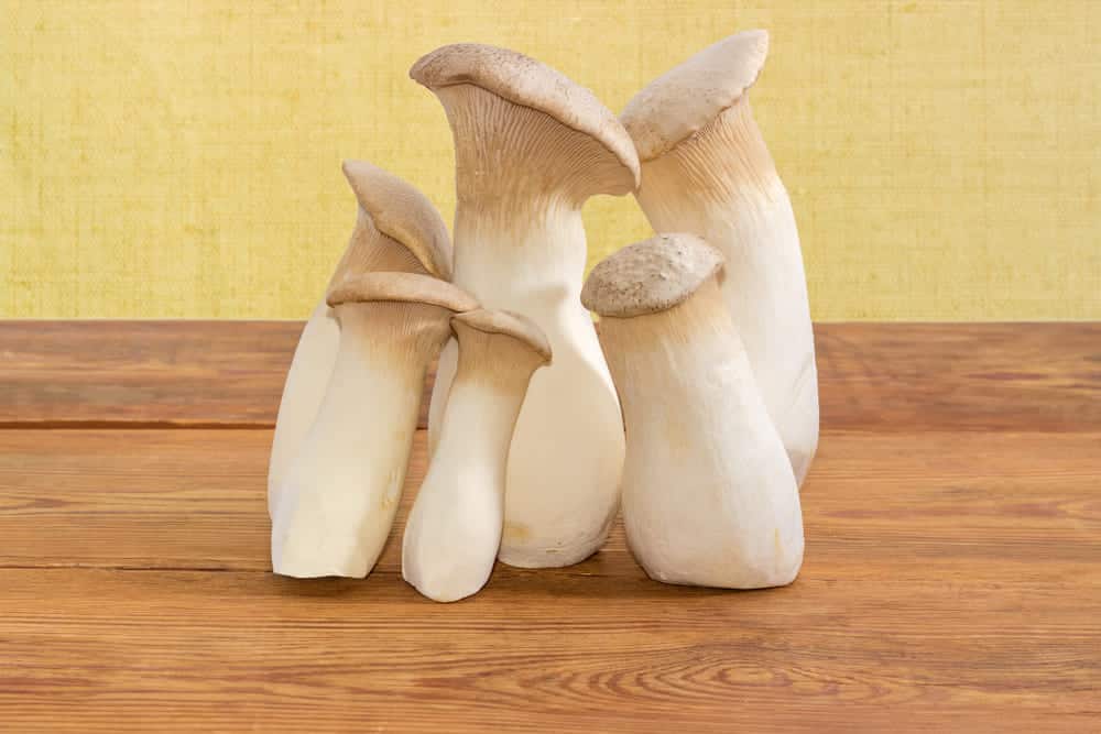 eringi mushrooms substitutes