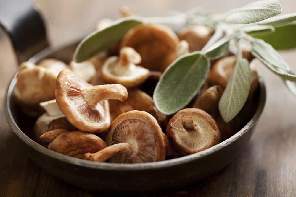 substitutes for shitake mushrooms