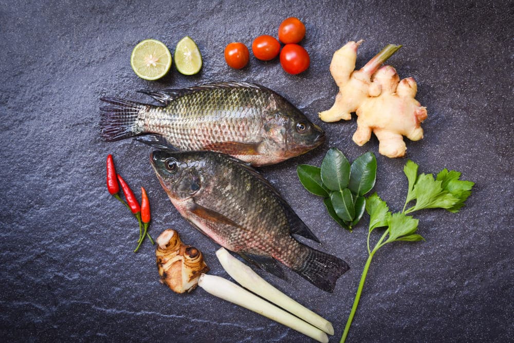 substitutes for tilapia