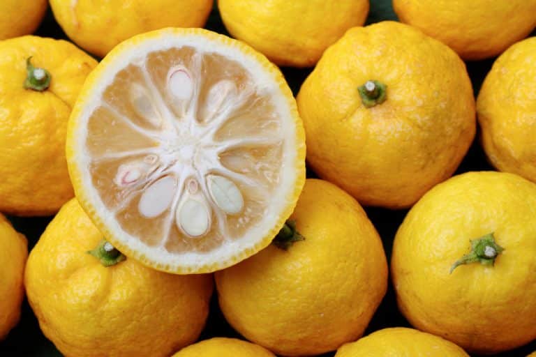 5 Best Yuzu Substitutes (Alternatives To Yuzu) - Miss Vickie