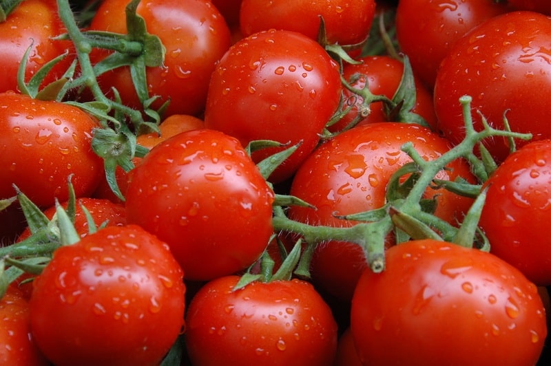 Fresh Tomatoes