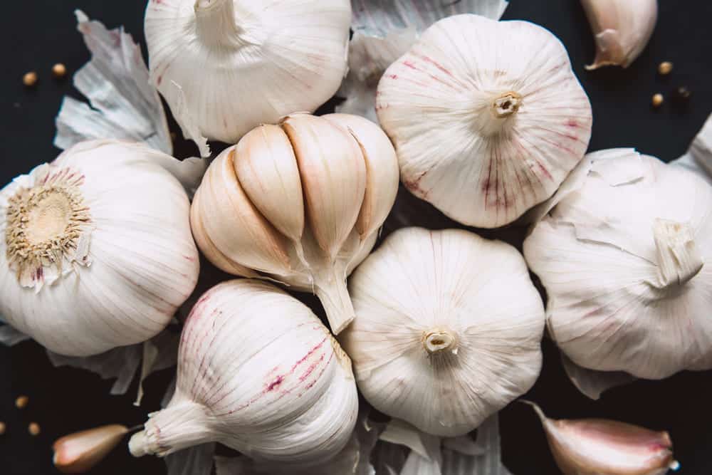 dehydrated garlic vs fresh