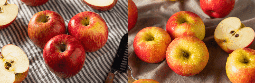 kiku apples vs honeycrisp