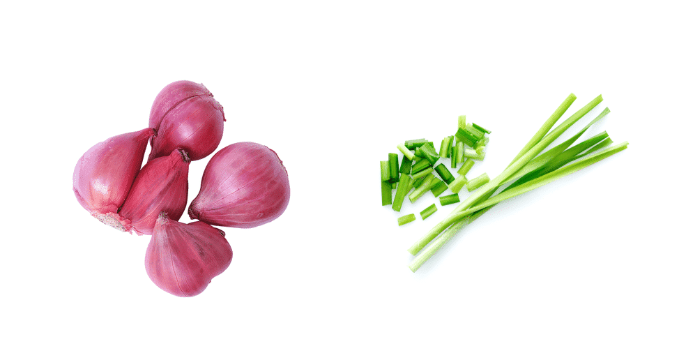 shallots vs chives