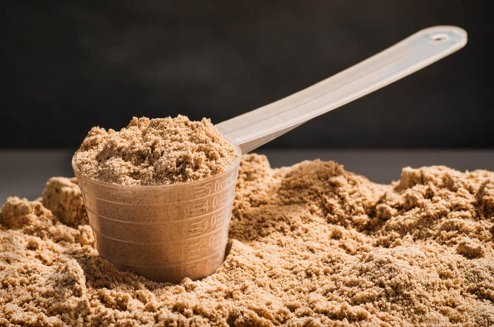 measuring scoop of whey protein