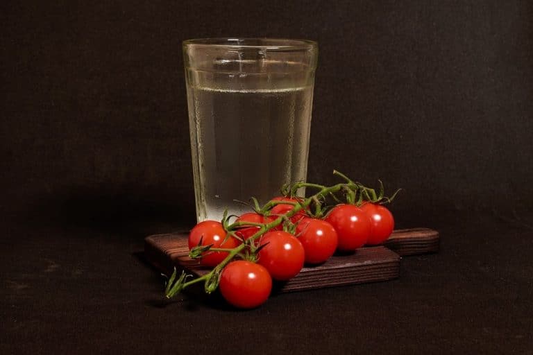 Vodka Sauce vs Marinara What's The Difference? Miss Vickie