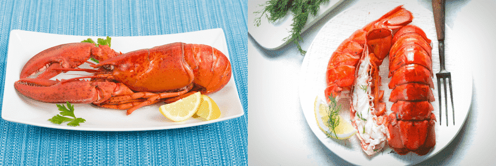 whole lobster and lobster tail