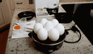 Common Dash Egg Cooker Problems