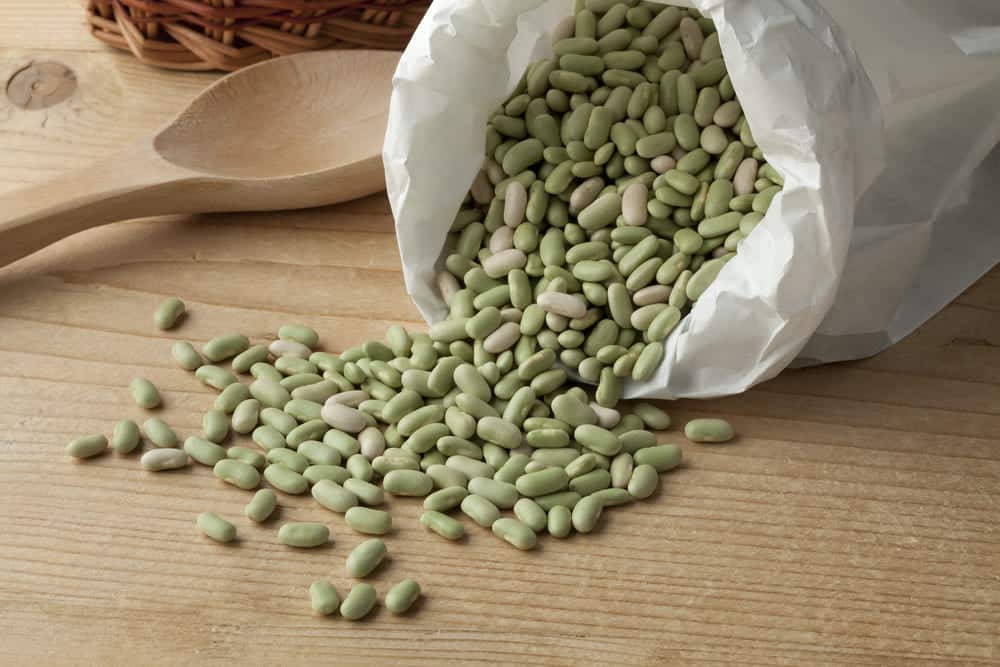 flageolet beans substitutes