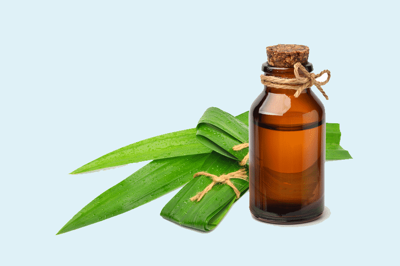 pandan essence extract