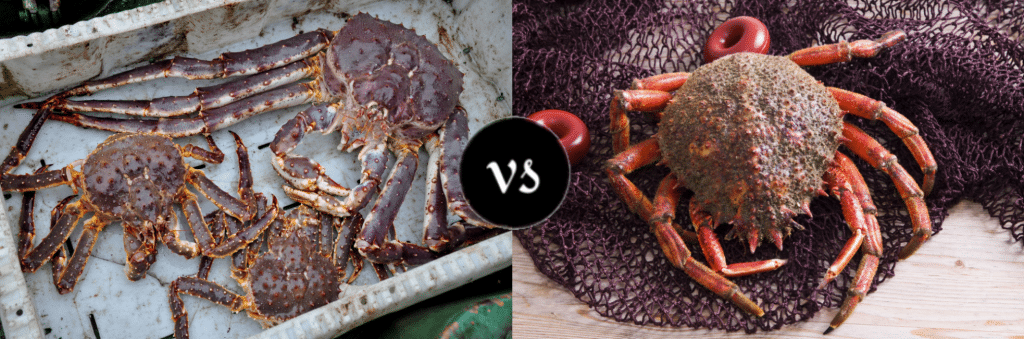 Southern King Crab vs Alaskan King Crab
