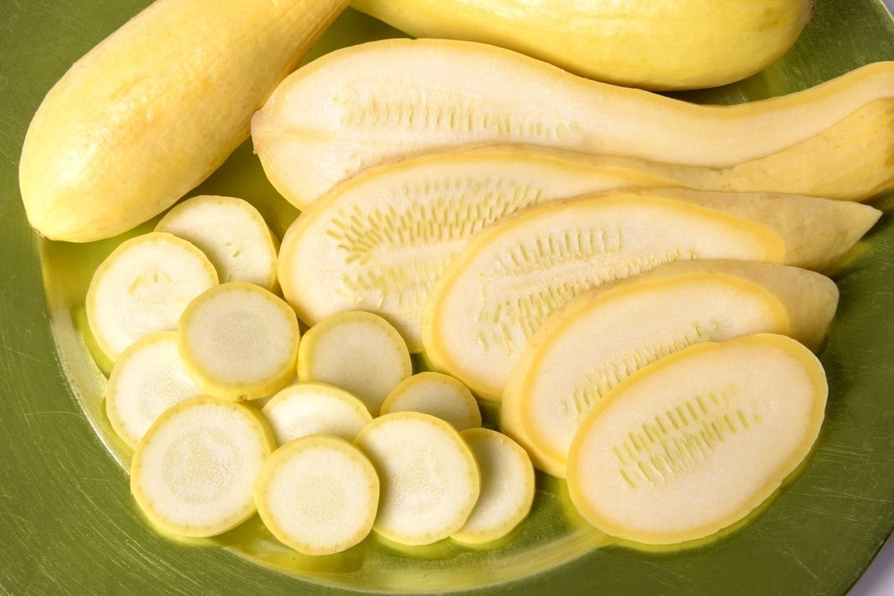 Brown Ring In The Yellow Squash