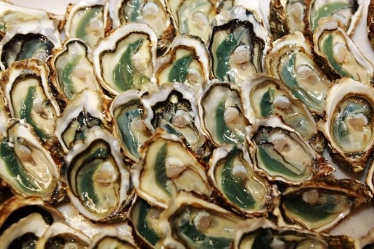 Green grilled oysters